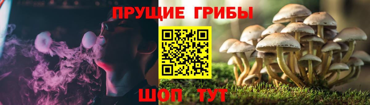 Псилоцибиновые грибы Cubensis  Галлюциногенные грибы ЛСД  дарнет шоп  Вход с VPN  Избербаш 